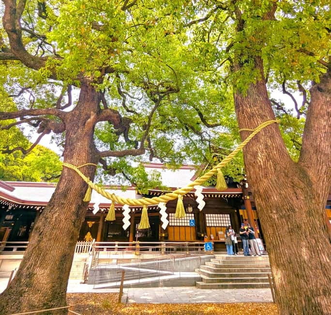 This is Real TOKYO!! SHIBUYA Tour from TGP!! - Meiji Shrine, Tokyo’s quiet center
