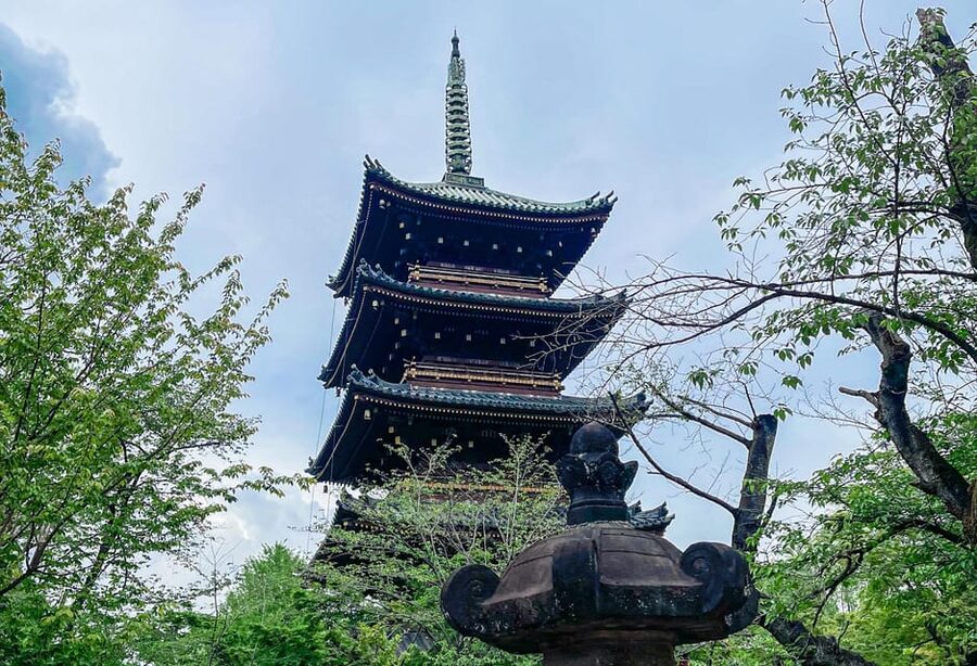 Tokio A: Tour de la ciudad en Español - Spanish - Why this route gives you a useful first look at Tokyo