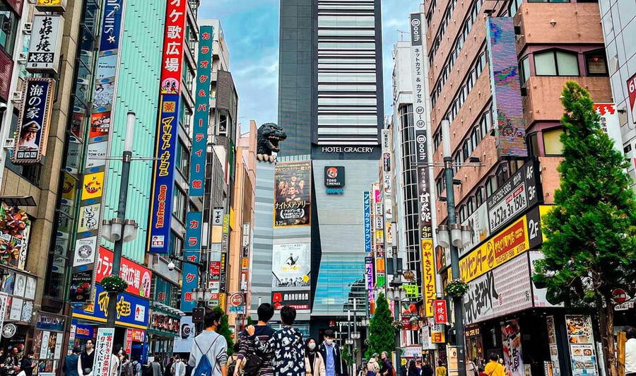 Tokio A: Tour de la ciudad en Español - Spanish - Kabukicho and Golden Gai after the daylight fades