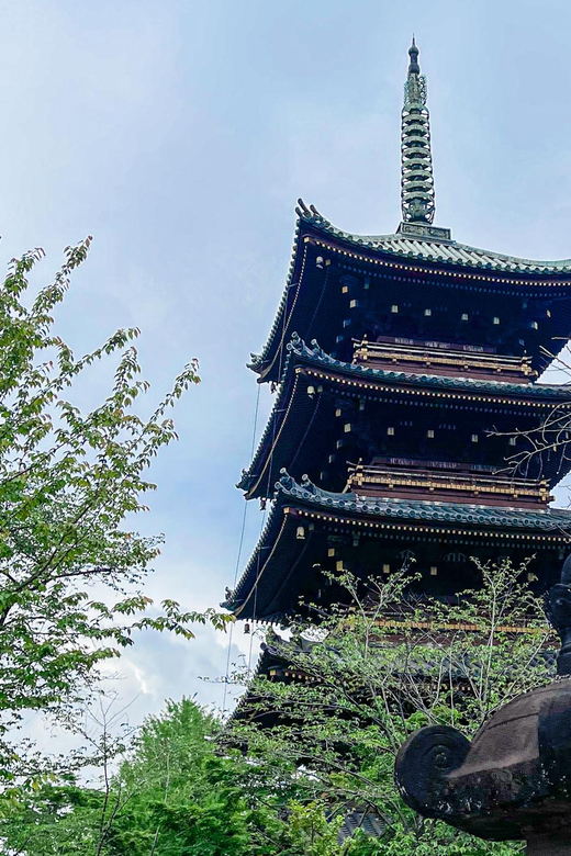 Tokio A: Tour de la ciudad en Español - Spanish - Who should book this Tokyo day tour