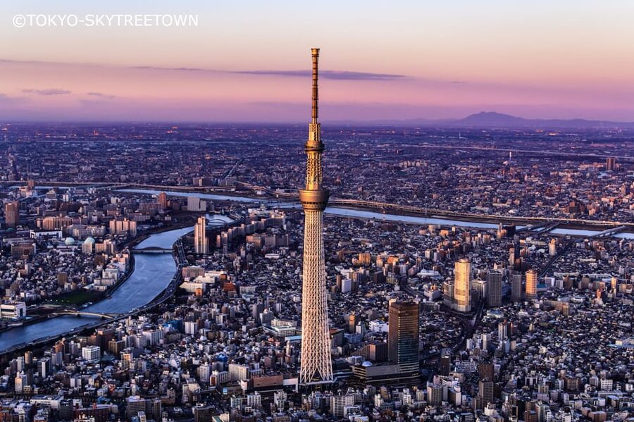 Tokyo: 1 Day Bus Tour with Meiji-Jingu,Odaiba,lunch&Skytree - A practical first day in Tokyo