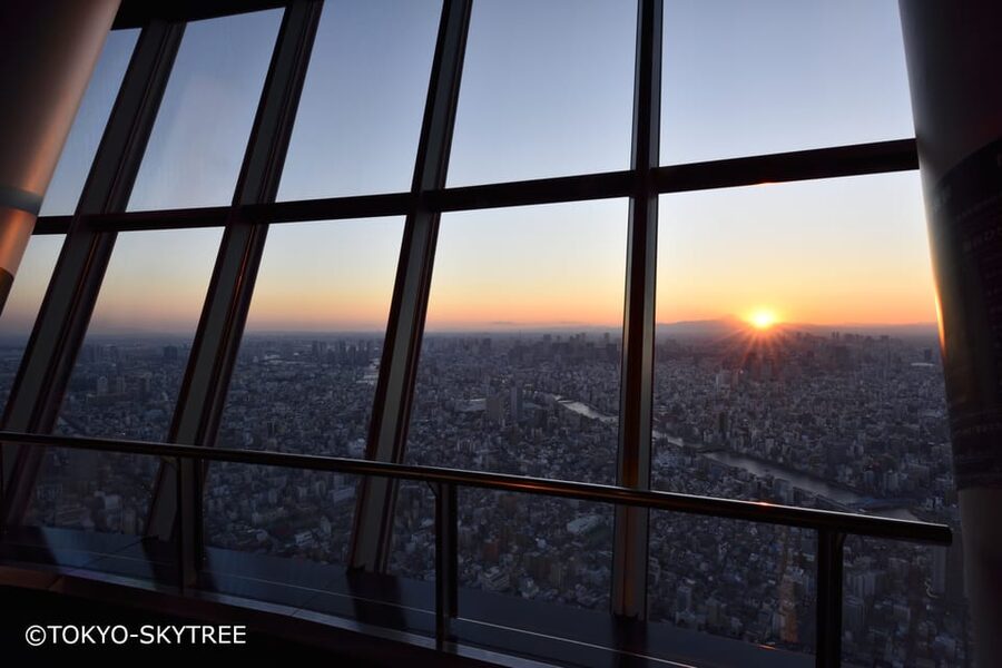 Tokyo: 1 Day Bus Tour with Meiji-Jingu,Odaiba,lunch&Skytree - Meiji Shrine: a calm opening in Harajuku