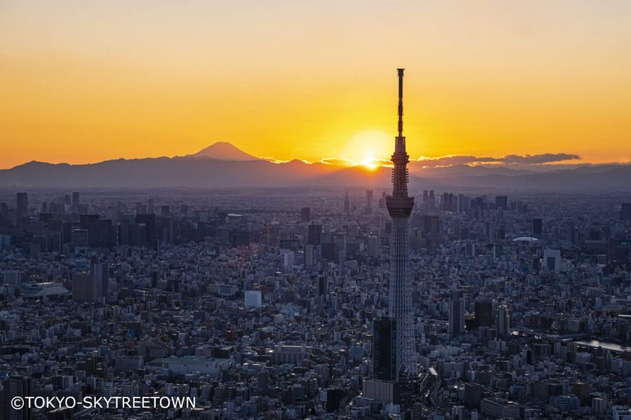 Tokyo: 1 Day Bus Tour with Meiji-Jingu,Odaiba,lunch&Skytree - Rainbow Bridge and Odaiba’s waterfront views