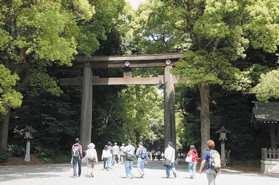 Tokyo: 1 Day Bus Tour with Meiji-Jingu,Odaiba,lunch&Skytree - How much value do you get for $83?