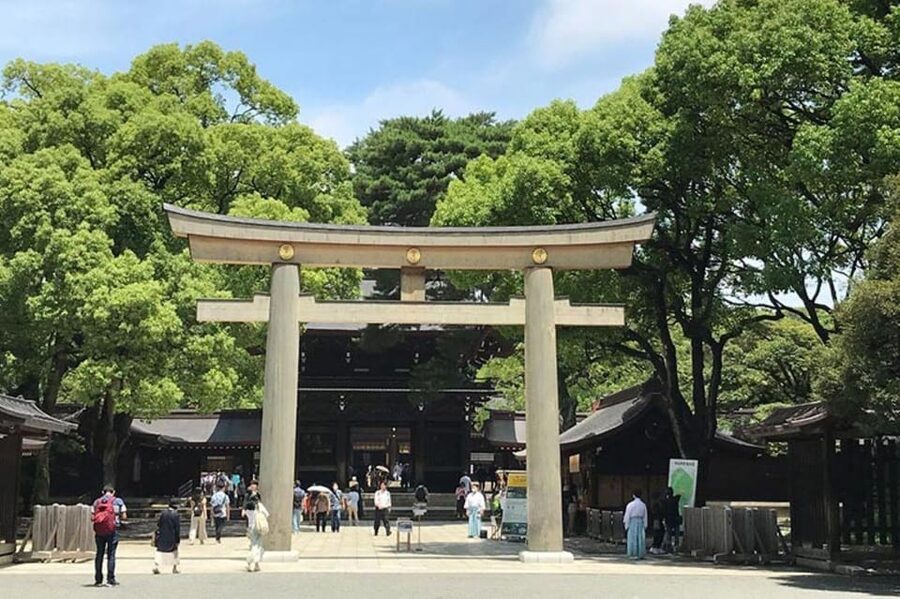 Tokyo: 1 Day Bus Tour with Meiji-Jingu,Odaiba,lunch&Skytree - My advice before you go