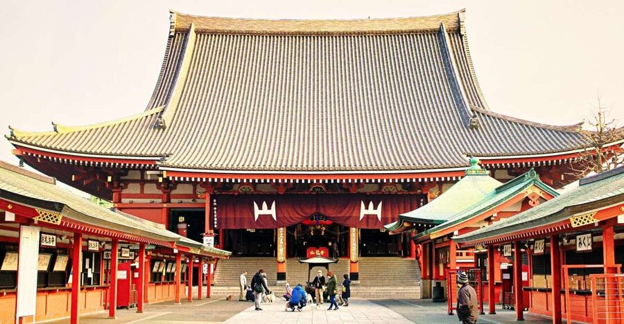 Tokyo: 1-Day Private Customizable Tour by Car - Why a private car helps in sprawling Tokyo