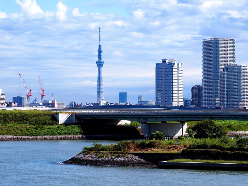 Tokyo: 1-Day Private Customizable Tour by Car - Odaiba, Tokyo Bay and the futuristic finish