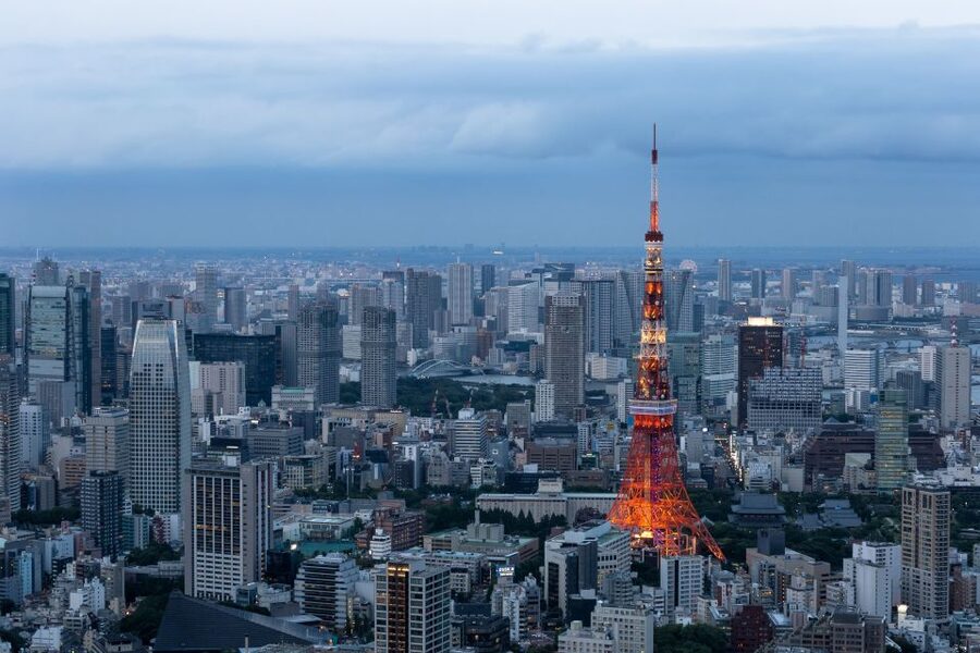 Tokyo: 1-Day Private Customizable Tour by Car - Tsukiji Outer Market, an easy first taste of Tokyo