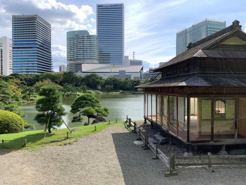 Tokyo: 1-Day Tokyo Private Tailor-made Tour - Meiji Jingu and the energy of Shibuya