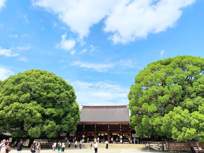 Tokyo: 1-Day Tokyo Private Tailor-made Tour - How the timing really works