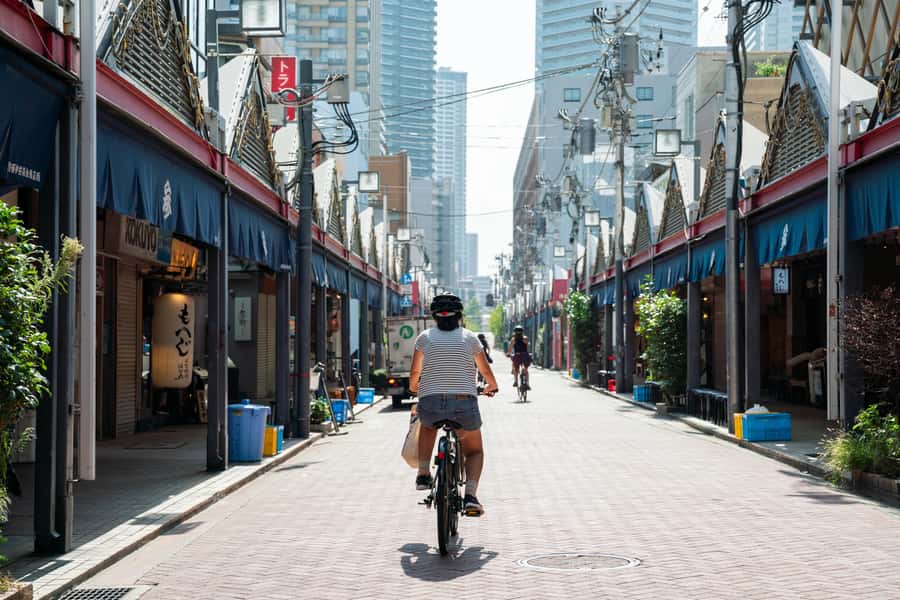 Tokyo: 3-hour Guided E-Bike Tour of the City's Hidden Gems - What Makes This Tokyo E-Bike Tour Worth Considering
