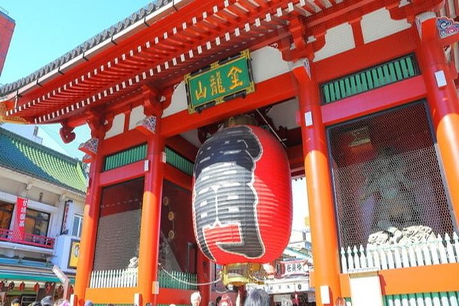 Tokyo 4hr Private Tour with Government-Licensed Guide - Meiji Jingu, Yoyogi Park, and Harajuku in one district