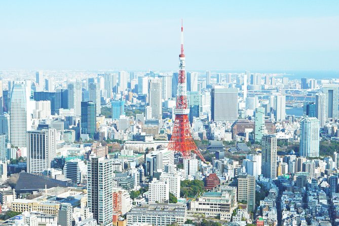 Tokyo 6 hours Customized Private Tour - Practical details before you commit