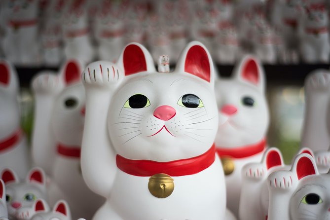 Tokyo 6 hours Customized Private Tour - What you may see during the six hours