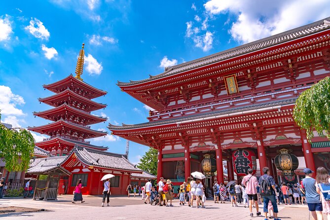 Tokyo 6hr Instagram Highlights Private Tour with Licensed Guide - Gardens and museums: slower options for a different day