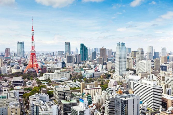 Tokyo 6hr Private Tour with Government-Licensed Guide - A private plan for a city that refuses to fit on one map