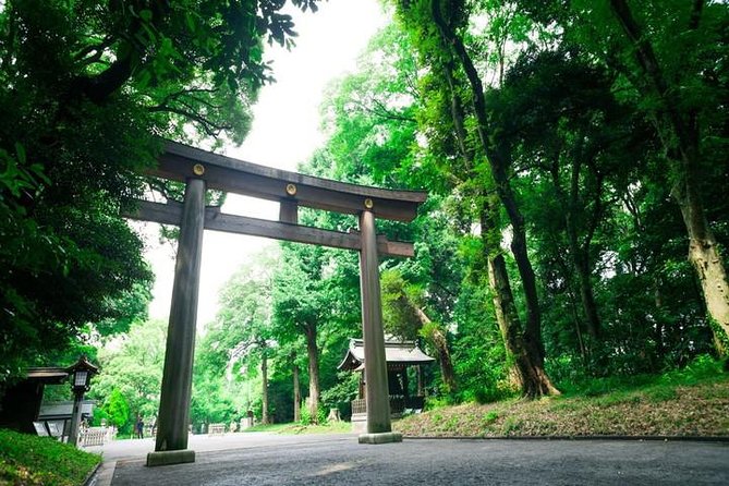 Tokyo 6hr Private Tour with Government-Licensed Guide - Shinjuku Gyoen and Tokyo’s garden tradition
