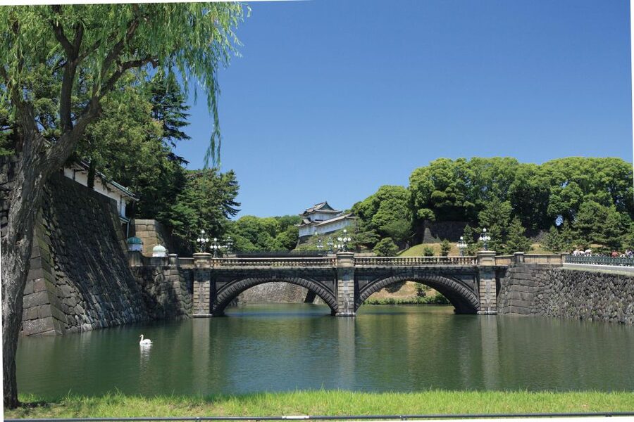Tokyo: A Half-Day Trip Bus Tour in the Morning - Key points at a glance