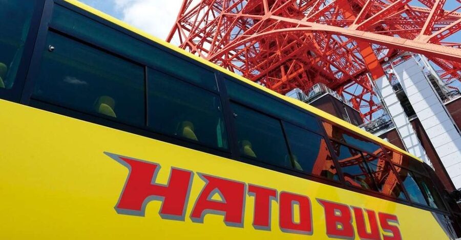Tokyo: A Half-Day Trip Bus Tour in the Morning - Should you book this Tokyo bus tour?