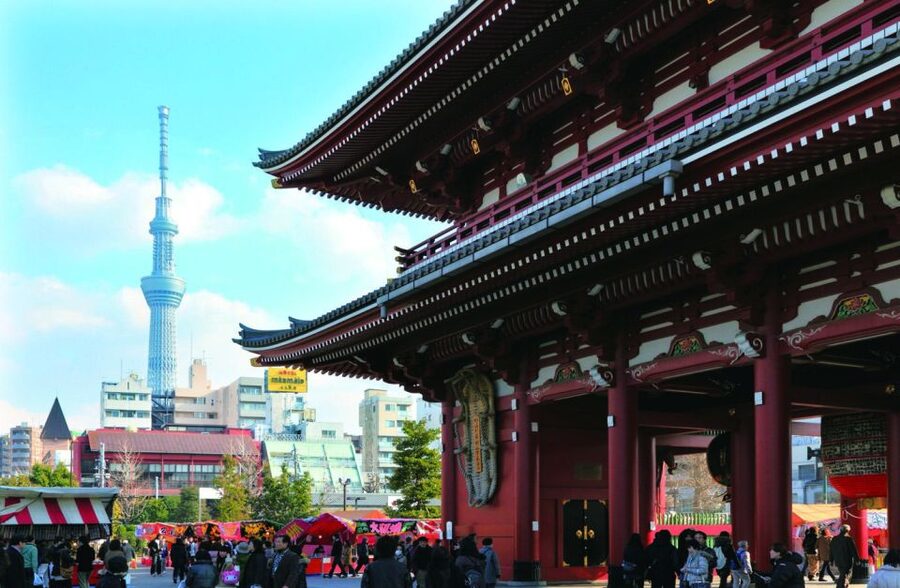 Tokyo: A Half-Day Trip Bus Tour in the Morning - Timing, crowds, and physical effort