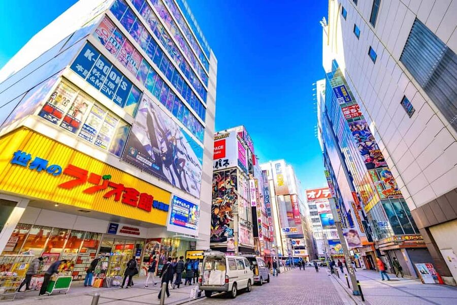 Tokyo Akihabara Anime walking tour & Maid Cafe option - Why a guide helps in Akihabara