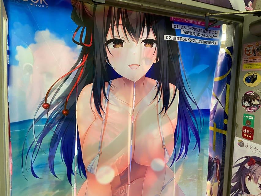 Tokyo: Akihabara Private Hentai Tour - Manga, anime, and video games without guesswork