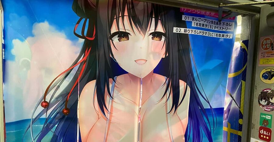 Tokyo: Akihabara Private Hentai Tour - A three-hour walk shaped around your interests
