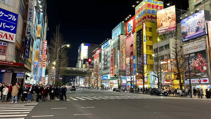 Tokyo: Akihabara, Shibuya, Karaoke & City Lights Night Tour - What the $79 price really covers