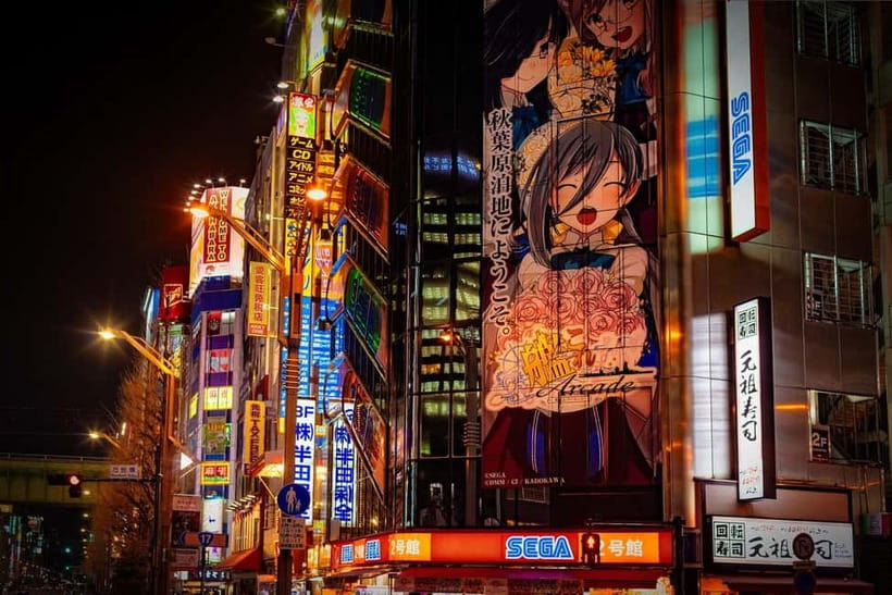 Tokyo: Akihabara, Shibuya, Karaoke & City Lights Night Tour - Walking, trains, and the right expectations