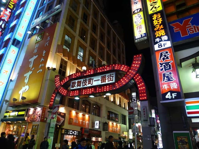 Tokyo: Akihabara, Shibuya, Karaoke & City Lights Night Tour - Who will enjoy this Tokyo night tour