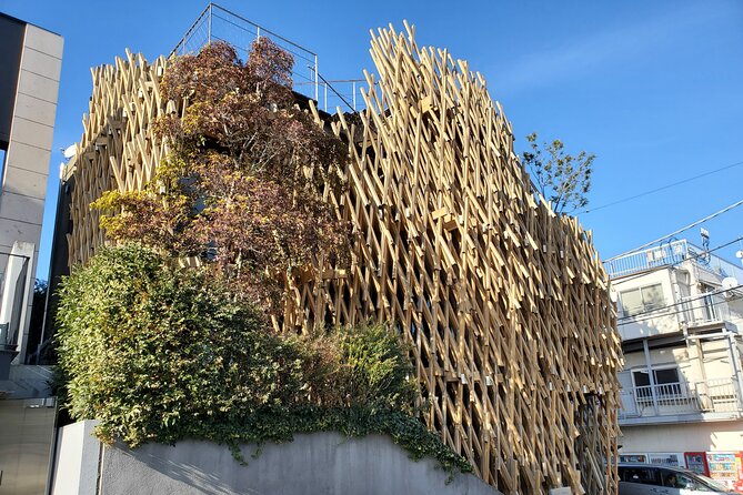 Tokyo Architecture and Contemporary Art Walking Tour with a local guide - Why this tour works for architecture fans