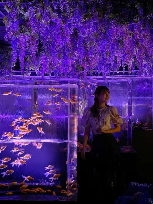 Tokyo: Art Aquarium Museum GINZA Entry Ticket - Goldfish as art at Ginza Mitsukoshi