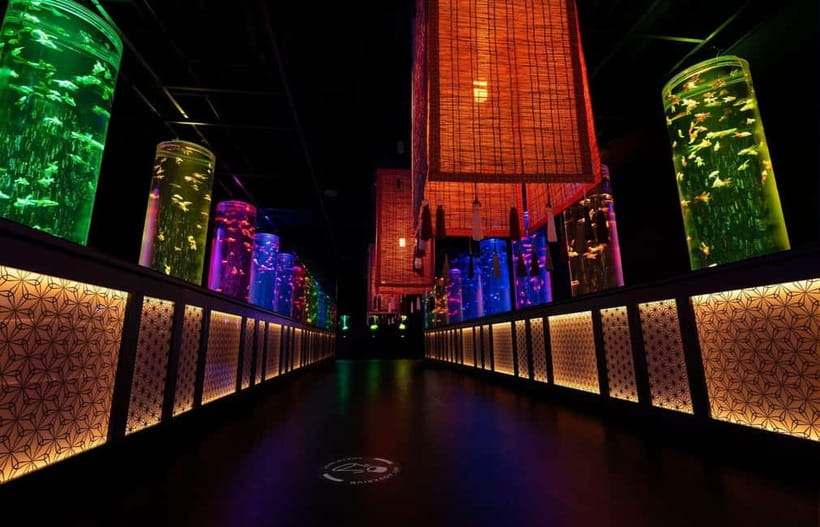 Tokyo: Art Aquarium Museum GINZA Entry Ticket - A strong stop for photography
