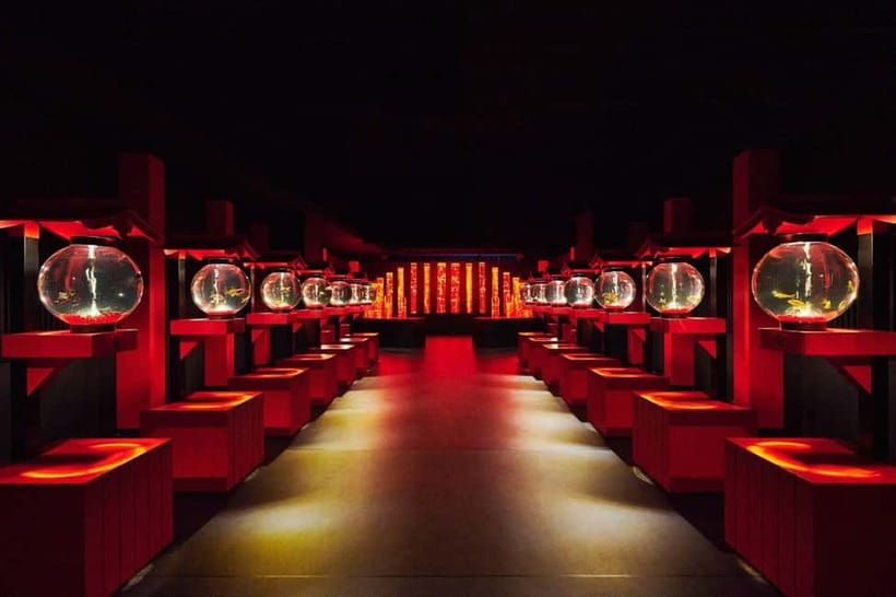 Tokyo: Art Aquarium Museum GINZA Entry Ticket - Finding the museum inside Ginza Mitsukoshi