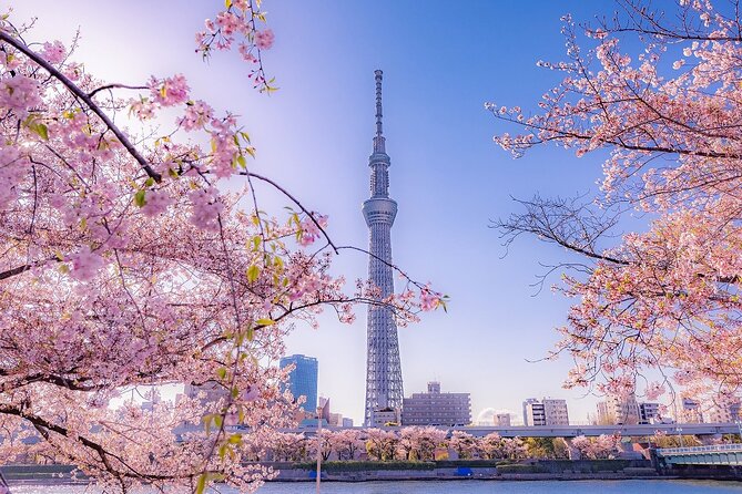 Tokyo Asakusa Half Day Walking Tour with Local Guide - What the guides add