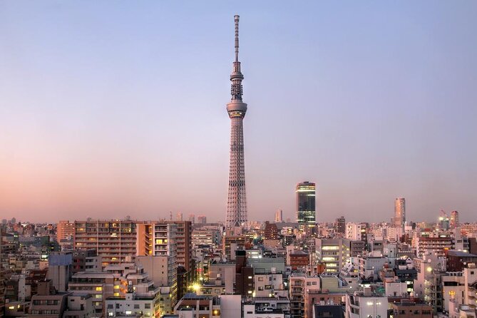 Tokyo Asakusa Rickshaw Tour - Key points to know before booking