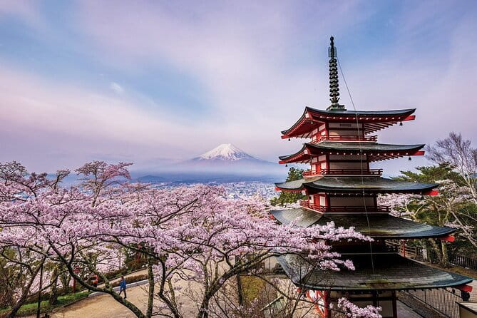 Tokyo: Asakusa Temple & Shrine Walking Tour with Local Guide - What the guides add to the experience