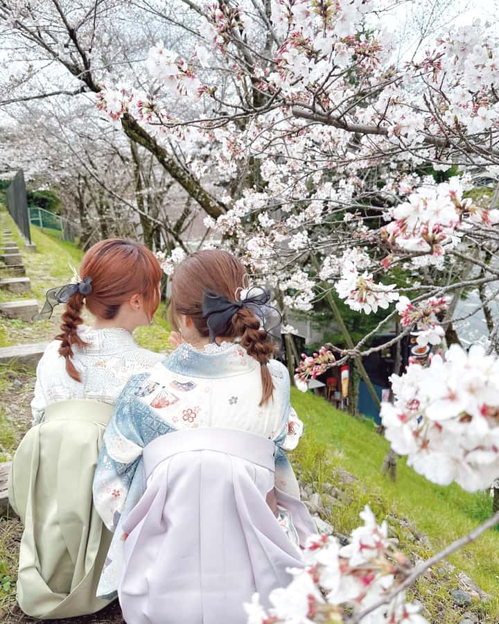 Tokyo Asakusa: Traditional Kimono Rental Experience at Wargo - Walking Asakusa in traditional clothing