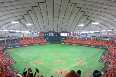 Tokyo Baseball Experience Tour with Expert English-Speaking Guide