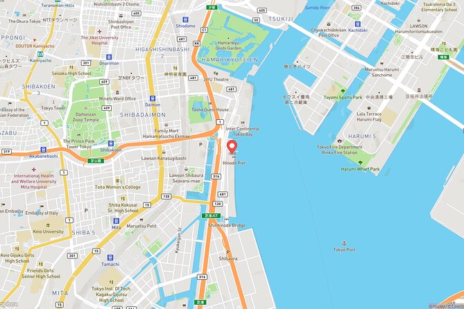 Tokyo Bay Cruise Adventure with options - Hamarikyu Garden from the waterfront