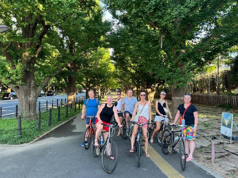 Tokyo Bike Tour: Shibuya, Harajuku & Hidden Gems - Ginkgo Avenue and Japan National Stadium