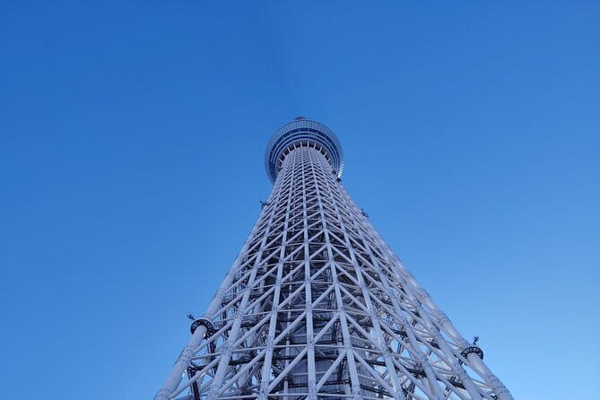 Tokyo Castle & Imperial PalaceーShogun Walking Tour - The Edo Castle ruin and the missing main tower