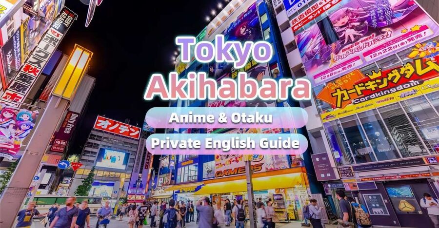 Tokyo:Cherry Blossom Mt Fuji & Shibazakura Festival Day Trip - The confusing route information you should clarify