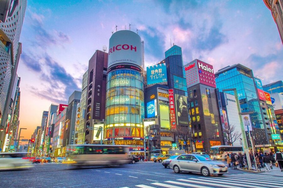 Tokyo:Cherry Blossom Mt Fuji & Shibazakura Festival Day Trip - What is included for $77, and what is not