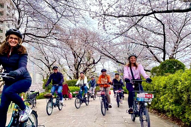 Tokyo Cherry Blossoms blooming spots E-bike Tour, 3hrs - Key points before you book