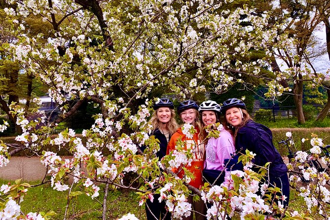 Tokyo Cherry Blossoms blooming spots E-bike Tour, 3hrs - Why an E-bike is a smart way to see Tokyo in spring