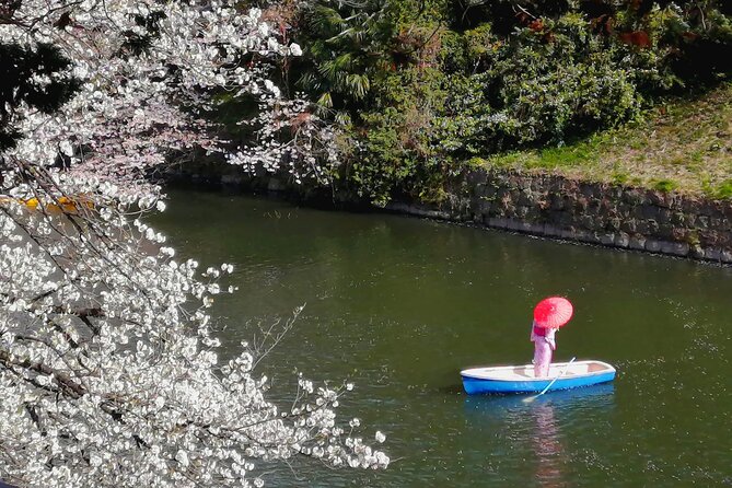 Tokyo Cherry Blossoms blooming spots E-bike Tour, 3hrs - Yasukuni Shrine brings a cultural pause