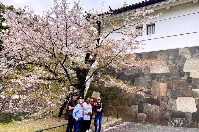 Tokyo Cherry Blossoms blooming spots E-bike Tour, 3hrs - Hibiya Park adds a compact green stop