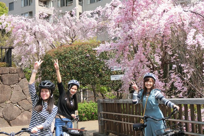 Tokyo Cherry Blossoms blooming spots E-bike Tour, 3hrs - Chidorigafuchi, the first major blossom view