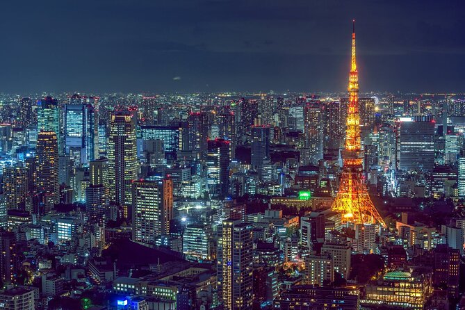 Tokyo City 1-Day Private Tour with Bilingual Driver - Why private transport helps in a city this large
